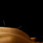 Acupuncture and Massage in Addiction Recovery